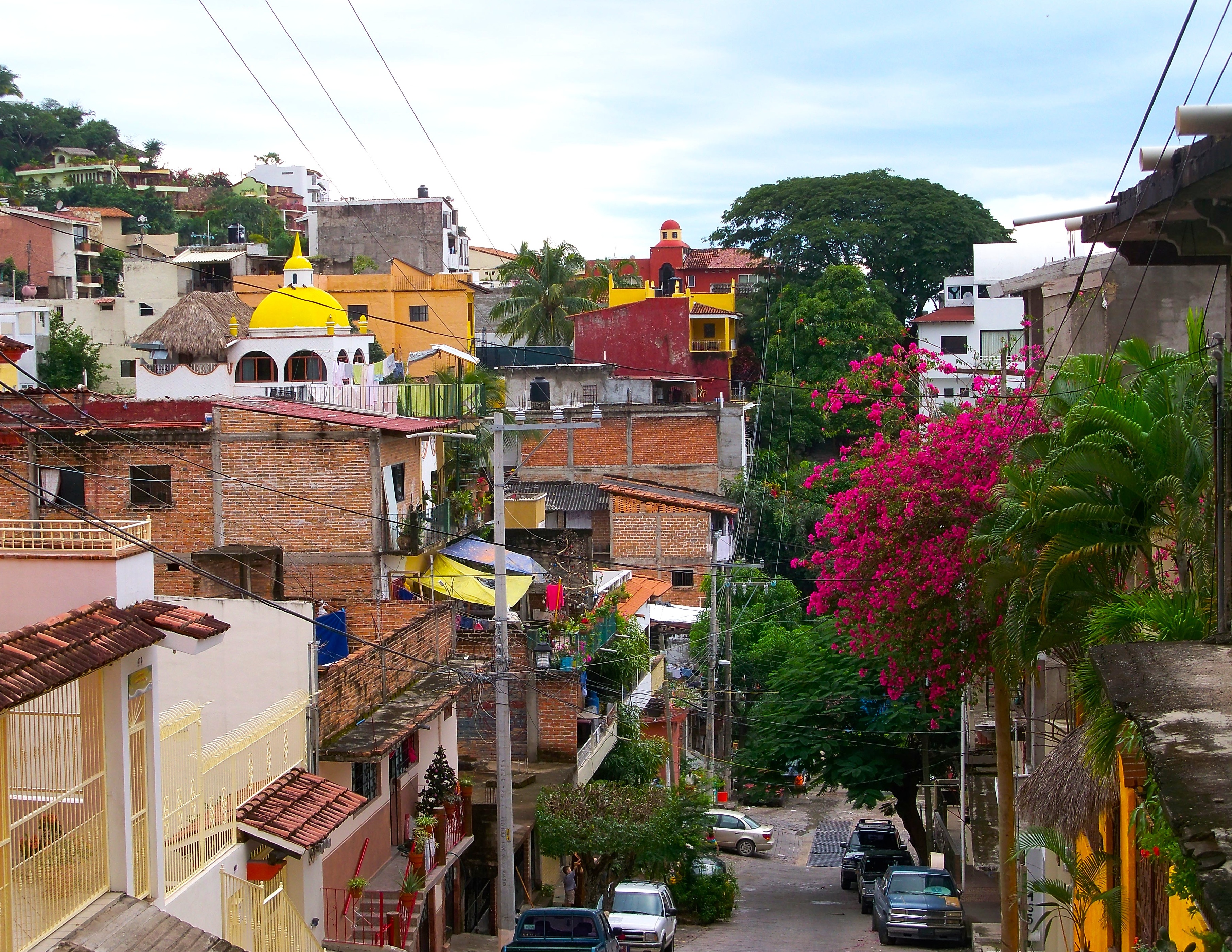 Calle Jacarandas